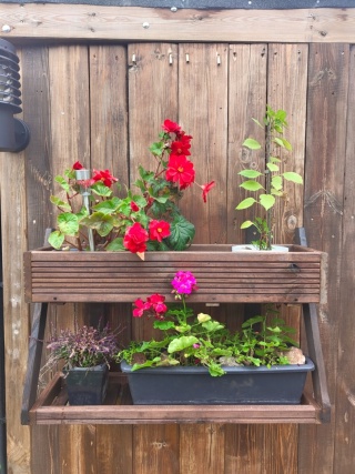 Doniczka 800x235x600 (SZxGxW) z półką